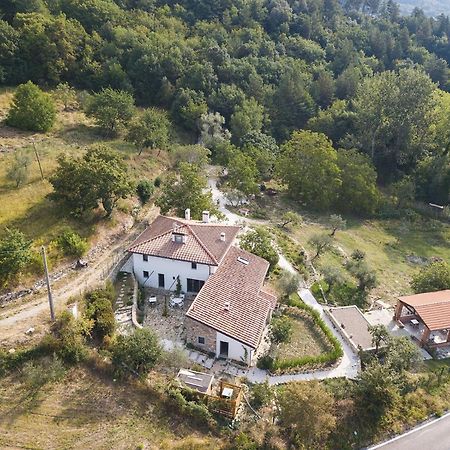 Agriturismo Le Fonti Понтассьеве Экстерьер фото